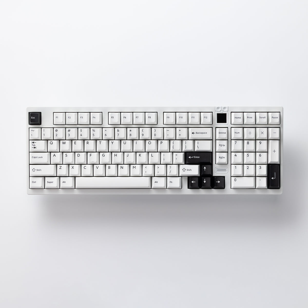 PBTfans BOW付きのAthena 1800、使用準備完了