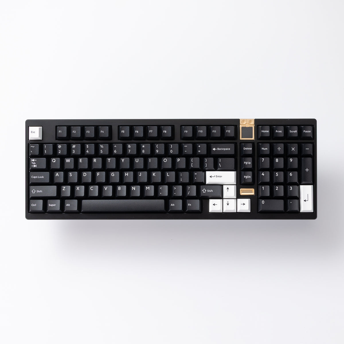 PBTfans WOBを装着したAthena 1800の準備ができました。