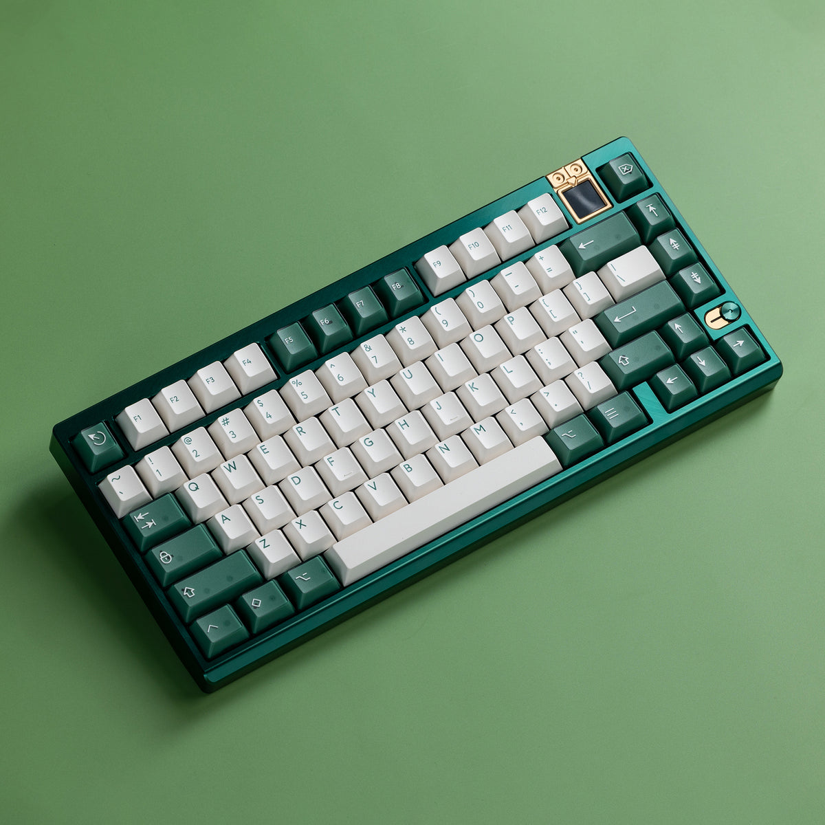 Athena 75 with PBTfans Transgreen