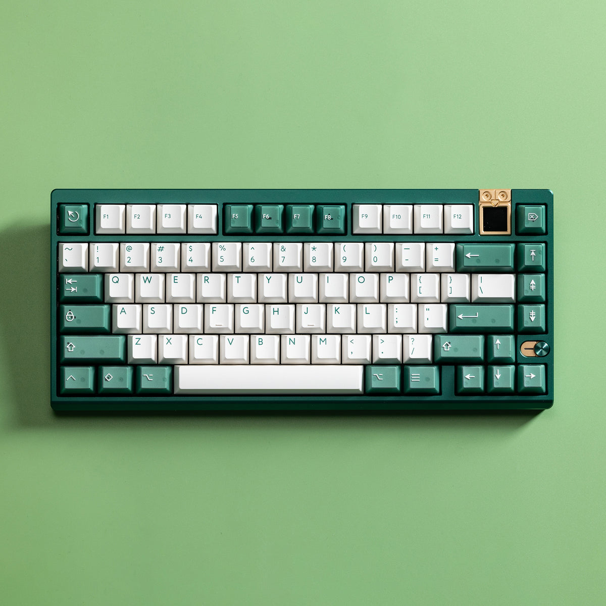 Athena 75 with PBTfans Transgreen